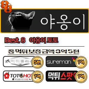 총 먹튀 보증금액 3억 5천
먹튀폴리스 5천, 슈어맨 1억, 토토핫 1억, 먹튀스팟 1억